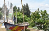 Độc đáo những bức tranh thuyền thúng